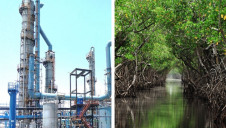 Pictured: A carbon capture array (left) and a mangrove forest (right). Image left: Carbon Clean Solutions